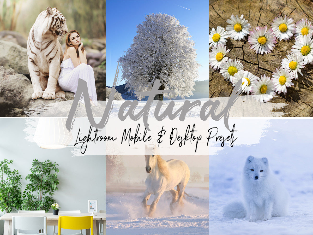 Natural Lightroom Presets